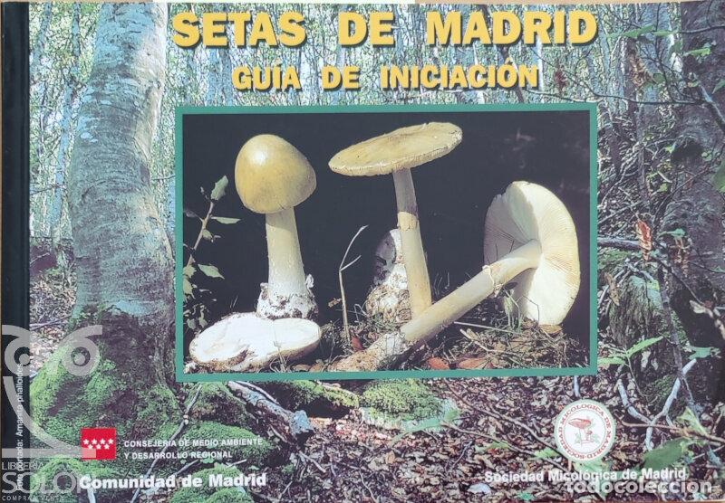 Libros: Setas de Madrid. Gu&iacute;a de iniciaci&oacute;n - Aa. Vv. - Foto 1
