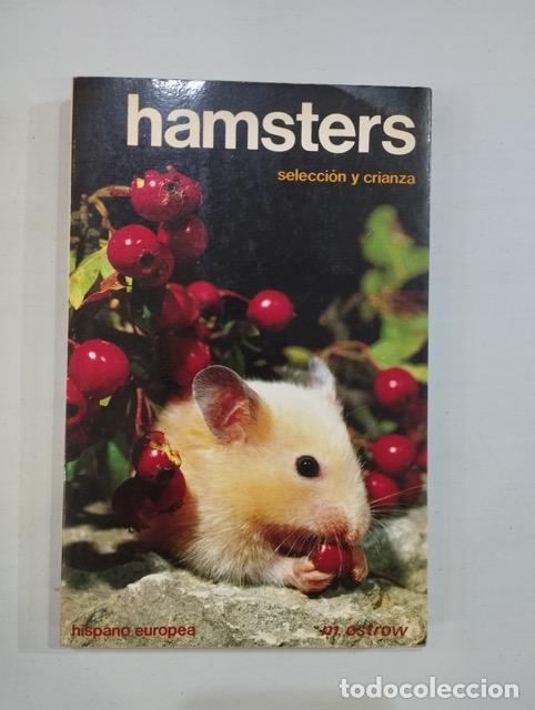 Libros: M. Ostrow - Hamsters. Selecci&oacute;n y crianza - Foto 1