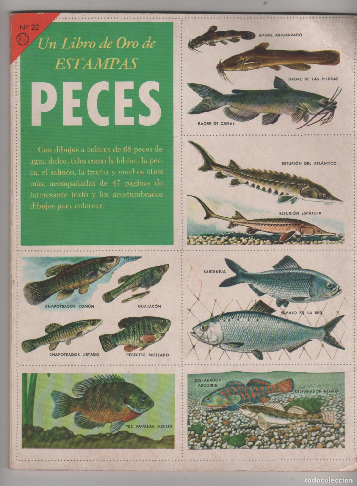 Libros: Un libro de oro de estampas. Peces. N&ordm; 22. - Foto 1