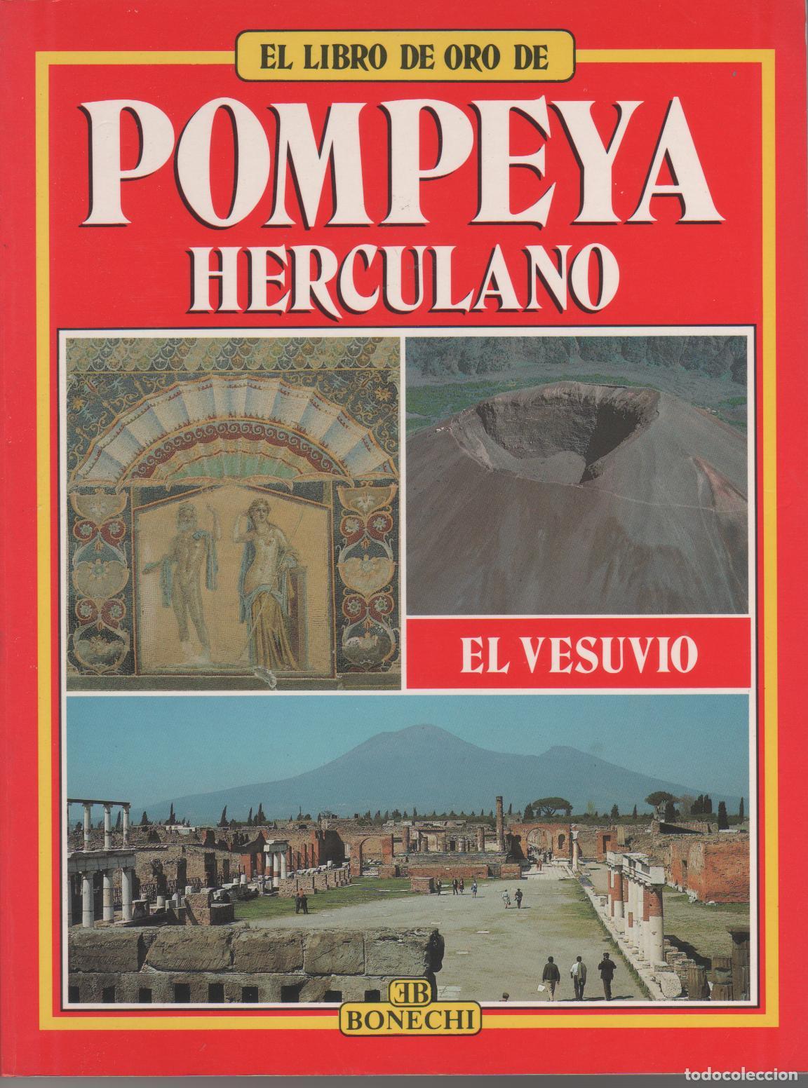 Libros: Pompeya. Herculano. El Vesuvio - Foto 1