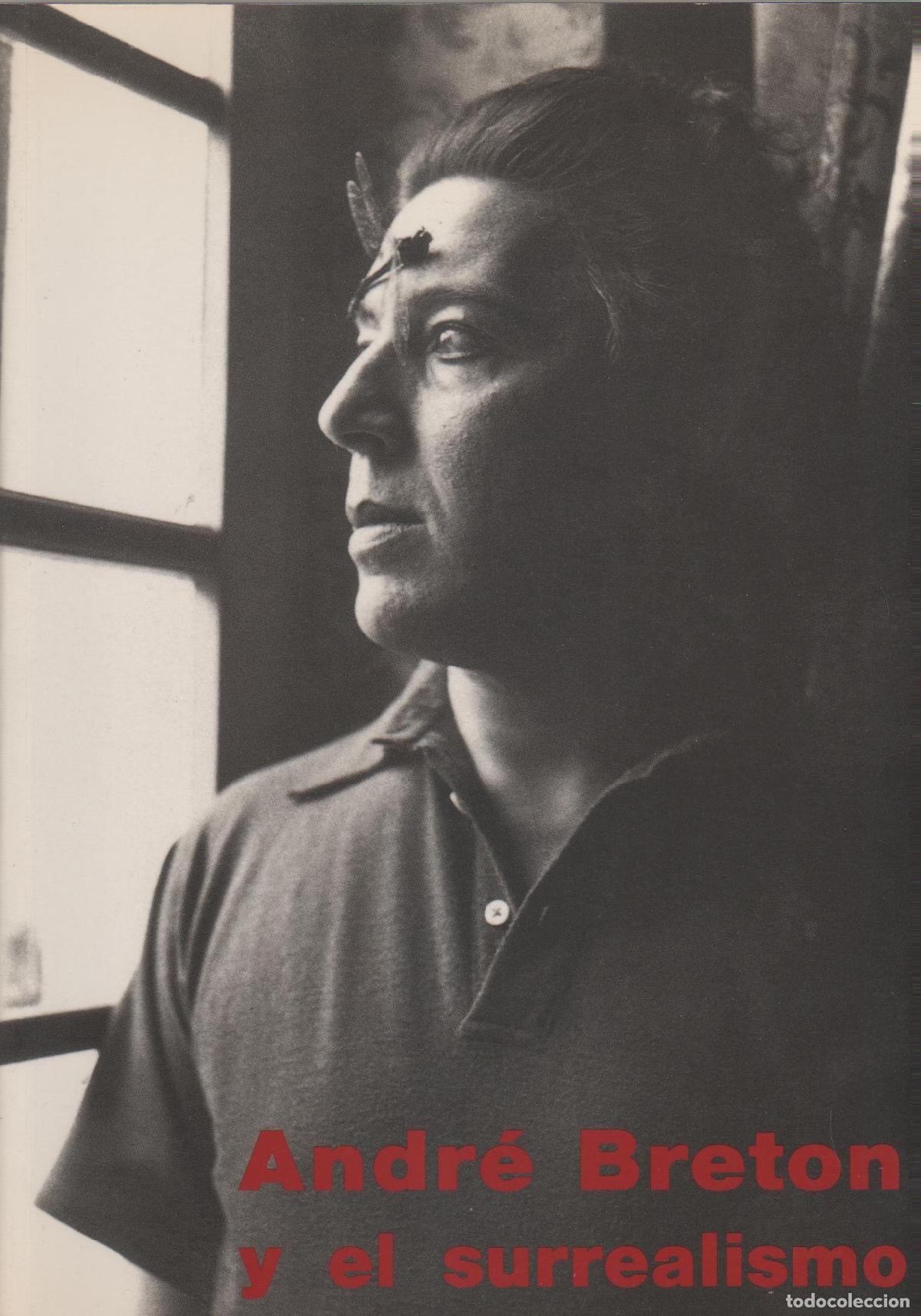 Libros: Andr&eacute; Breton y el surrealismo - VV.AA - Foto 1