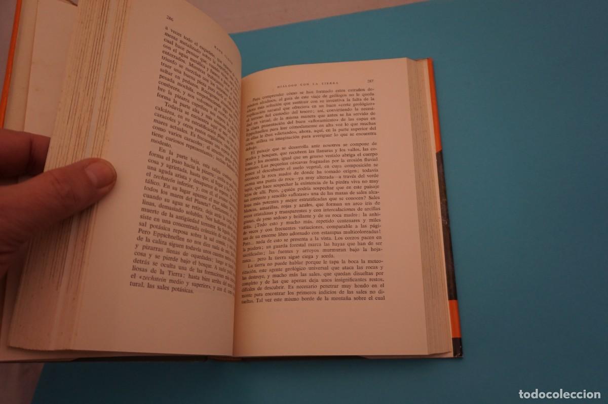 Libros: M1G/ DIALOGO CON LA TIERRA - HANS CLOOS / EDITORIAL LABOR - Foto 4
