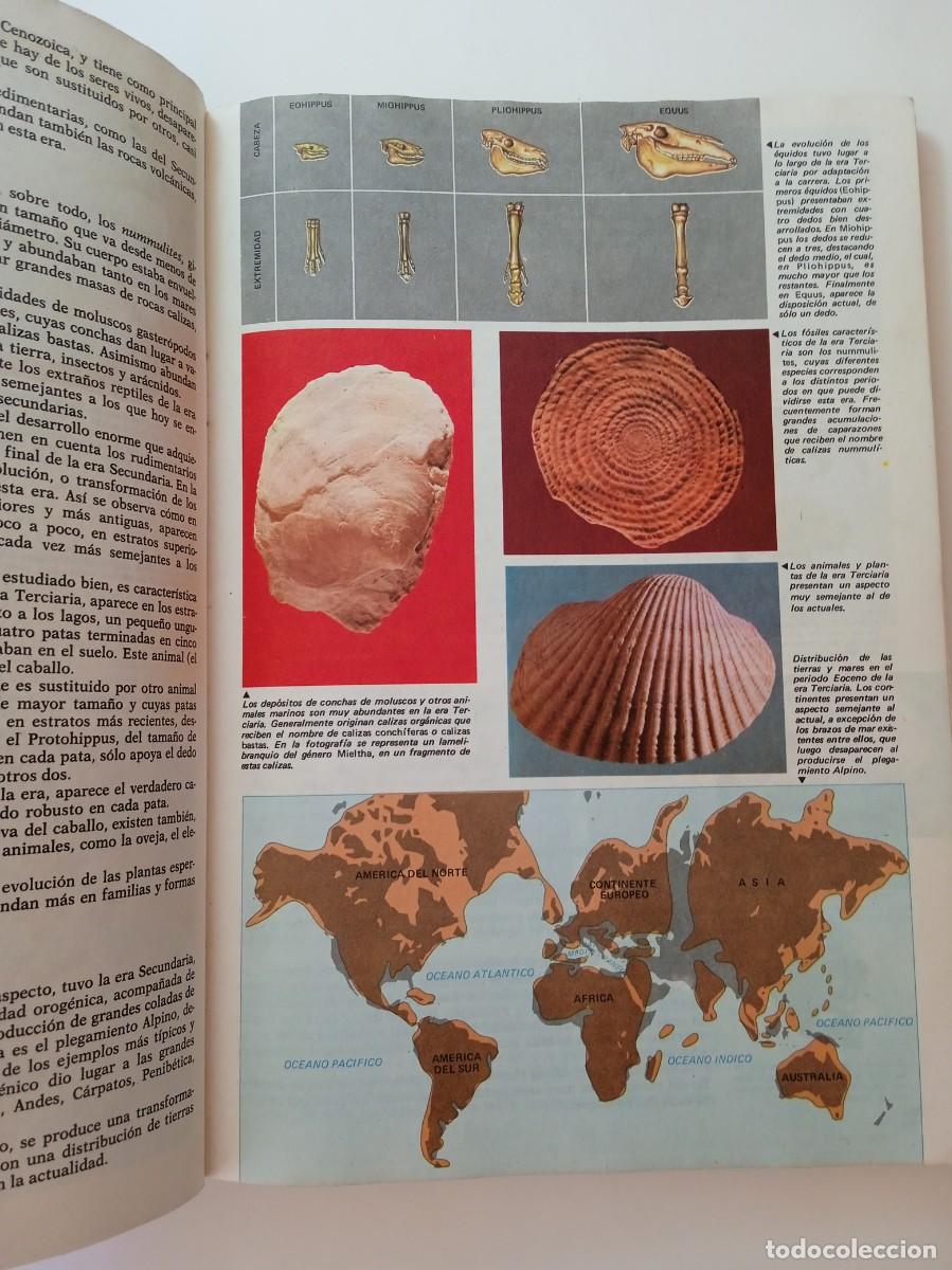 Libros: CIENCIAS DE LA NATURALEZA 8&ordm; EGB - ANAYA - Foto 4