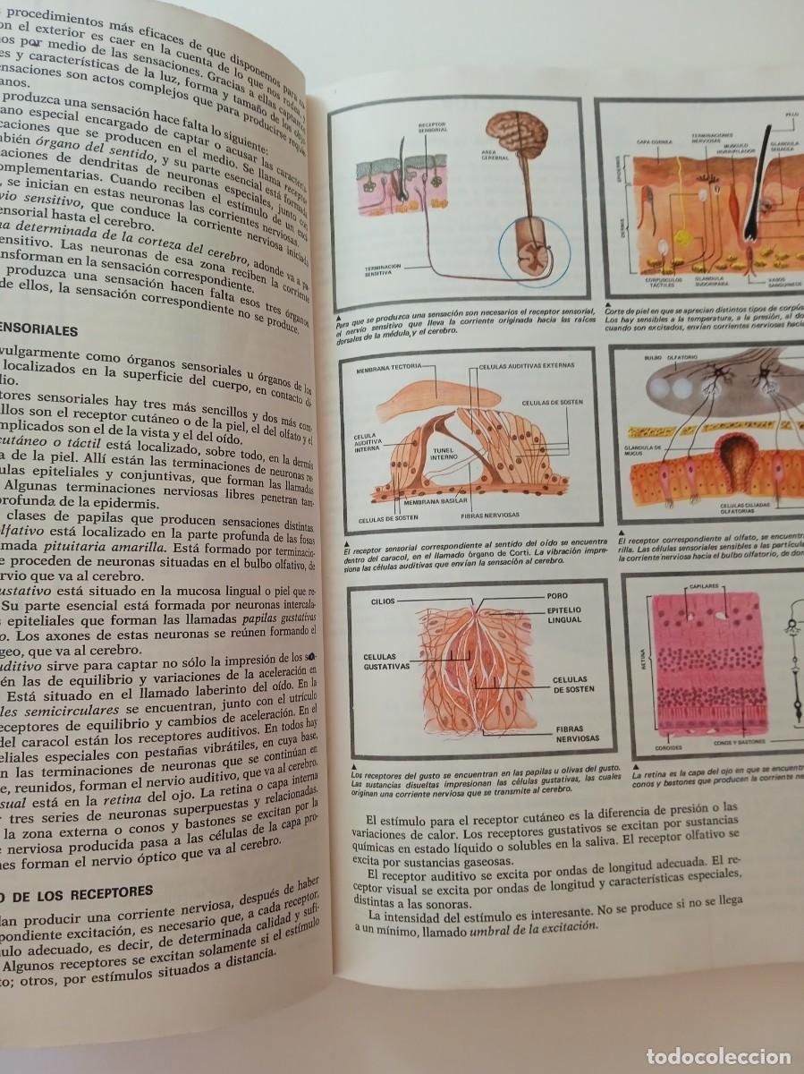 Libros: CIENCIAS DE LA NATURALEZA 8&ordm; EGB - ANAYA - Foto 5