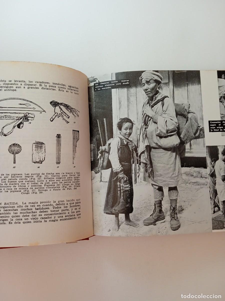 Libros: LAS RAZAS DEL MUNDO - AUGUSTO PANYELLA - EDICIONES RODEGAR - Foto 4