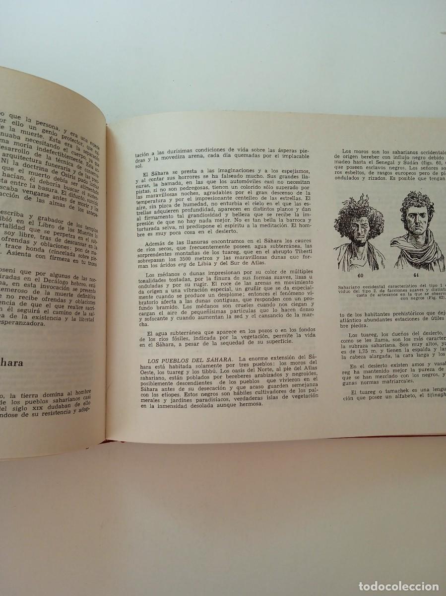 Libros: LAS RAZAS DEL MUNDO - AUGUSTO PANYELLA - EDICIONES RODEGAR - Foto 5