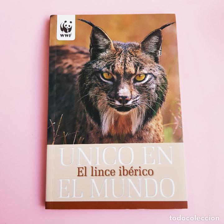 Livros em segunda m&atilde;o: LIBRO-LINCE IB&Eacute;RICO-&Uacute;NICO EN EL MUNDO-NUEVO-COLECCIONISTAS