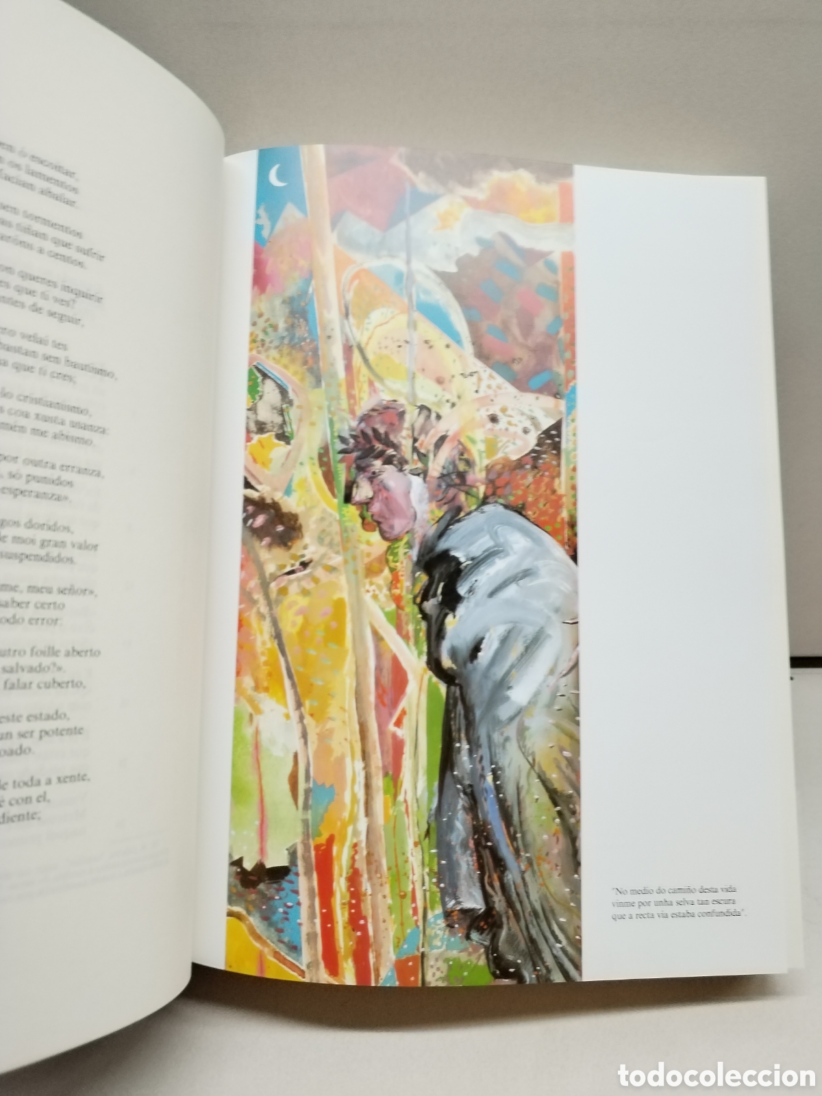 Libros: A DIVINA COMEDIA (EDICI&Oacute;N EN GALEGO) - DANTE ALIGHIERI - Foto 3