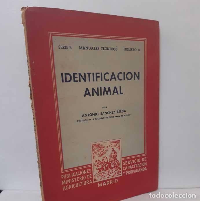 Libros: IDENTIFICACI&Oacute;N ANIMAL - S&Aacute;NCHEZ BELDA, ANTONIO - Foto 1