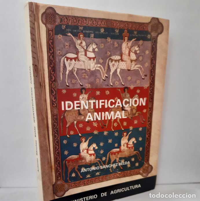 Libros: IDENTIFICACI&Oacute;N ANIMAL - S&Aacute;NCHEZ BELDA, ANTONIO - Foto 1