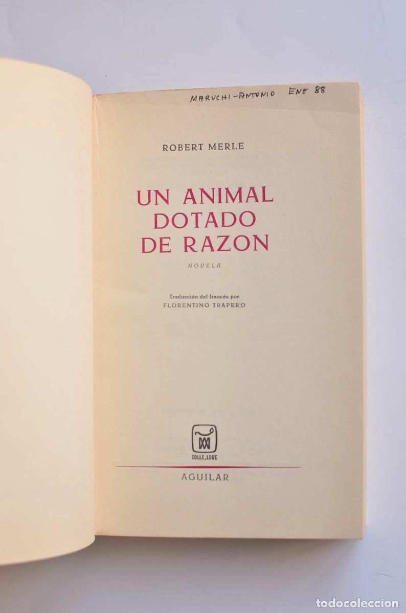 Libros: Un animal dotado de raz&oacute;n - MERLE, Robert - Foto 2