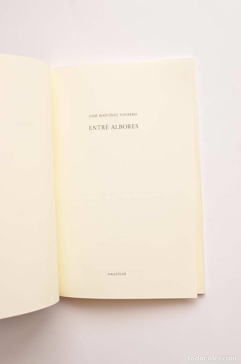 Libros: Entre albores - MART&Iacute;NEZ NAVARRO, Jos&eacute; - Foto 2