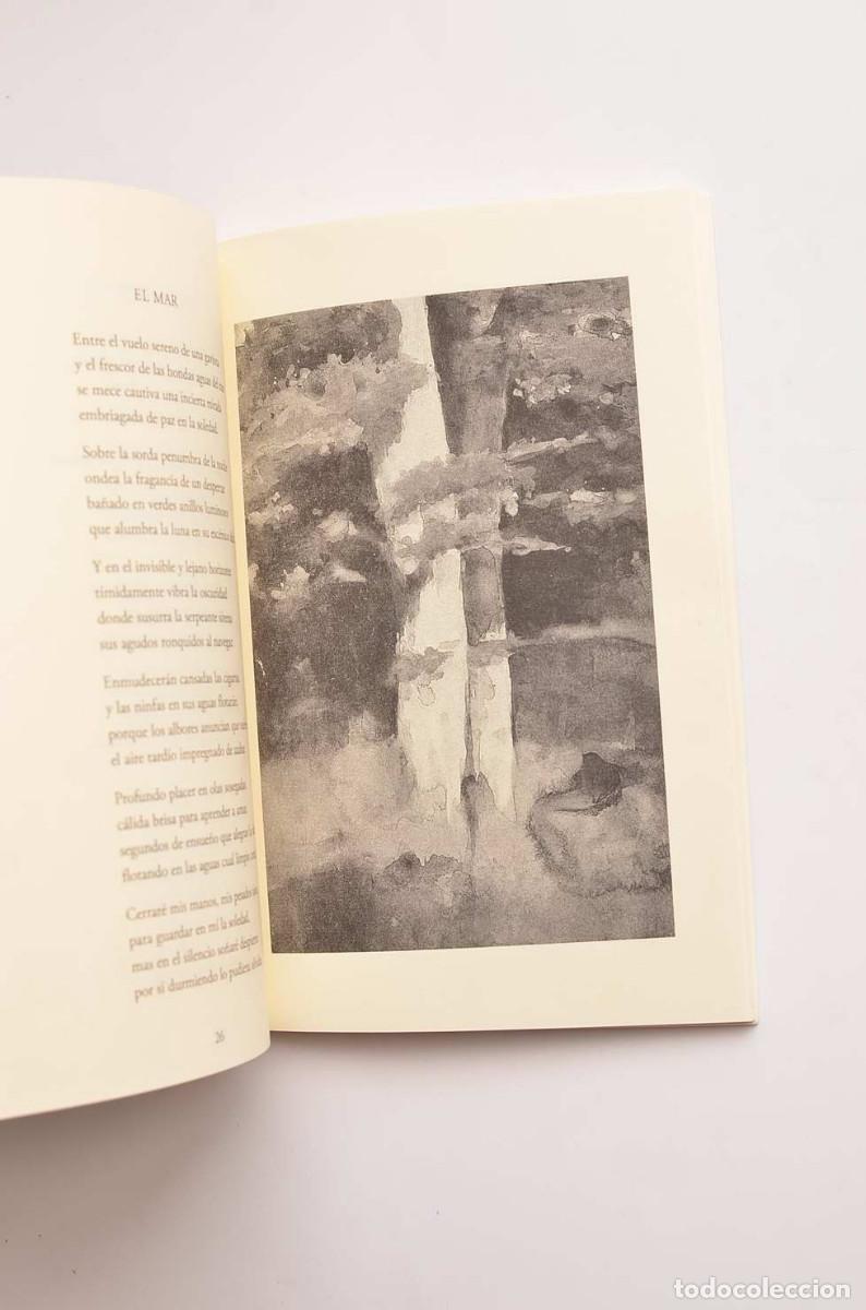 Libros: Entre albores - MART&Iacute;NEZ NAVARRO, Jos&eacute; - Foto 3