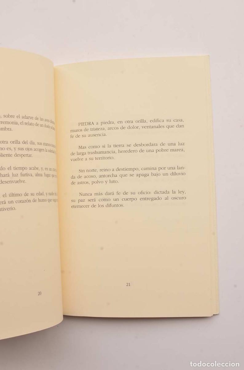 Libros: Cenizas son los d&iacute;as - &Aacute;LVAREZ ORTEGA - Foto 3