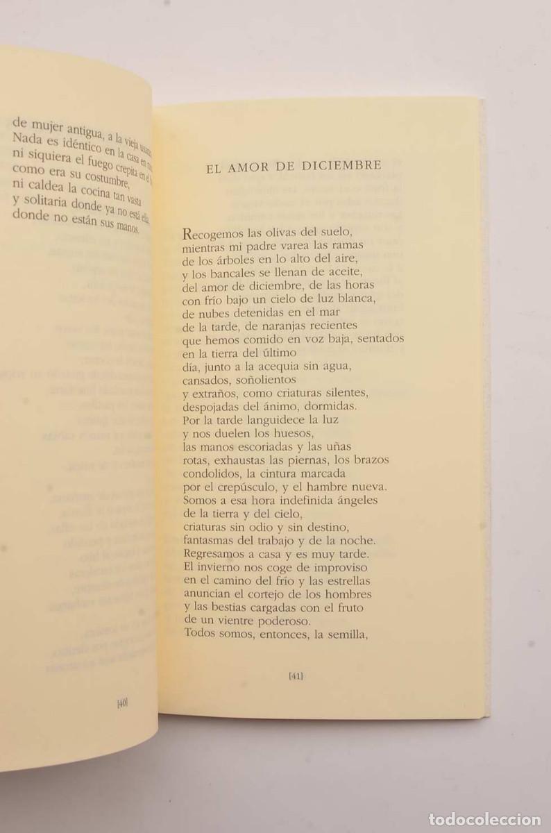 Libros: Alimentos de la tierra - GARC&Iacute;A, Pascual - Foto 3