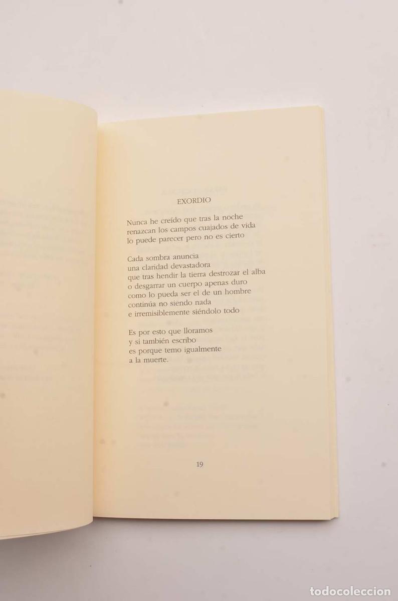 Libros: La senda honda - RAM&Oacute;N, Jos&eacute; Manuel - Foto 3