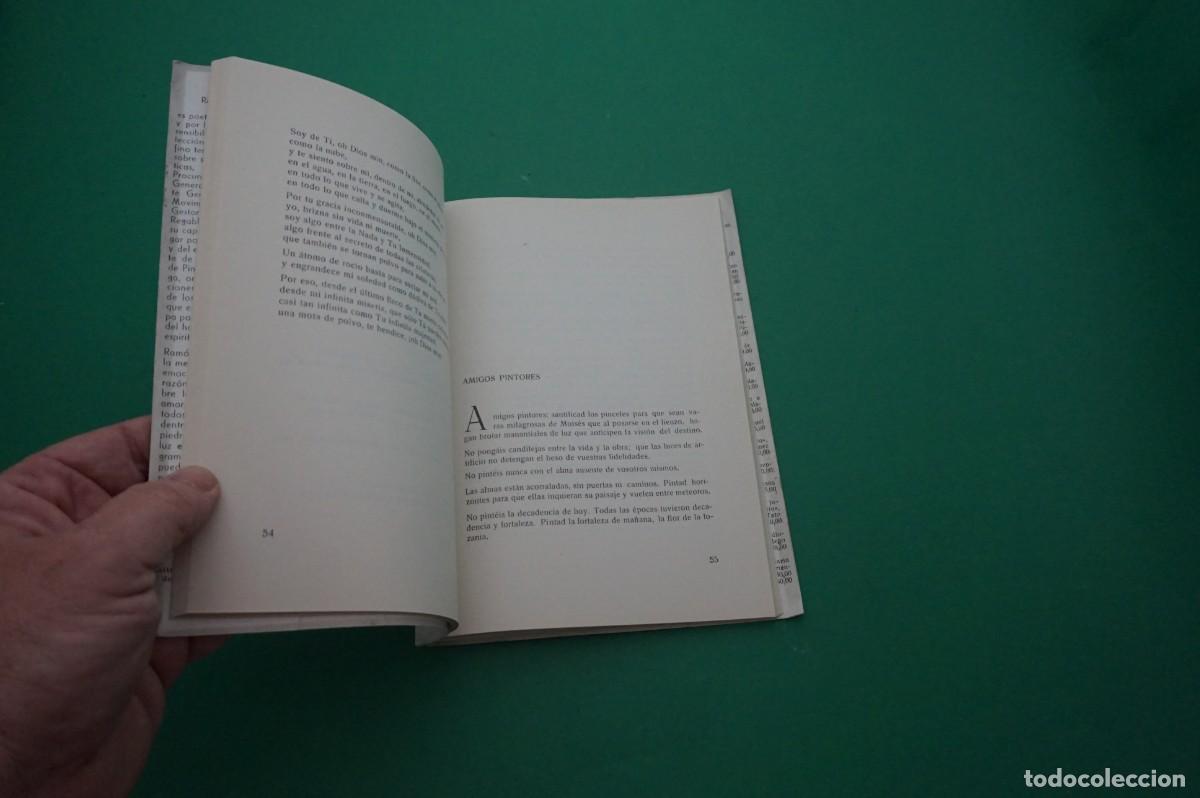 Libros: AMF-29C/ LA MIRADA ABIERTA - RAMON FERREIRO / EDICIONES CELTA - Foto 4