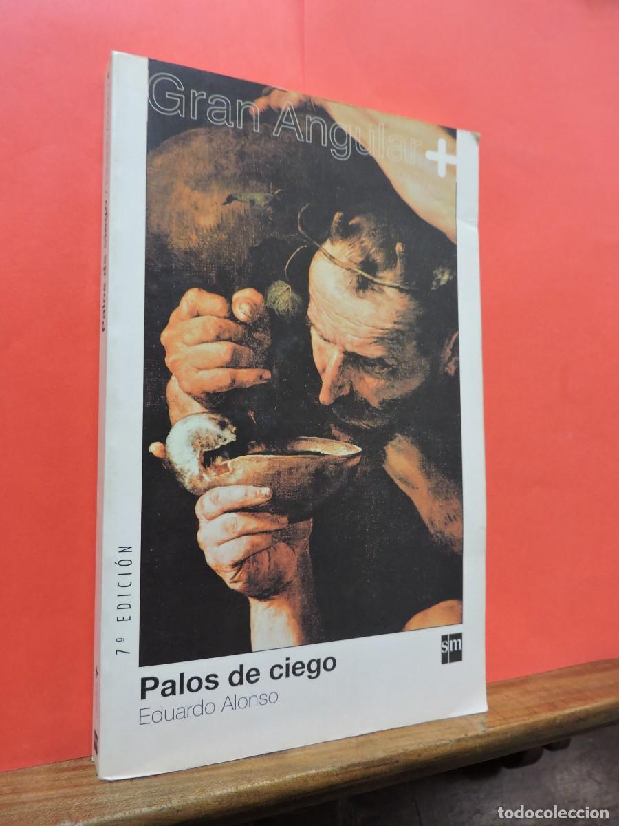 Libros: Palos de ciego. ALONSO, Eduardo. Ed. SM. Madrid, 2003 - Foto 1