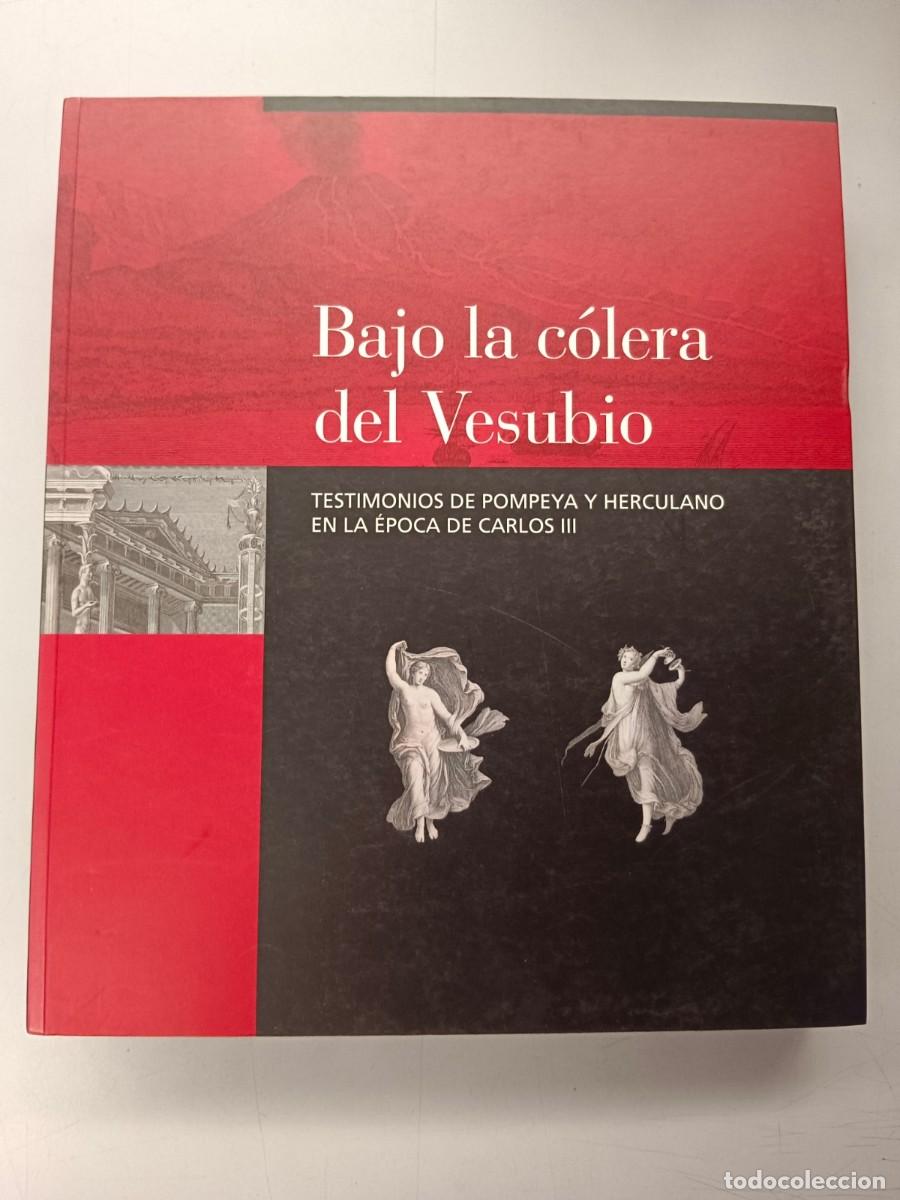 Libros: BAJO LA COLERA DEL VESUBIO - VV.AA. - Foto 1