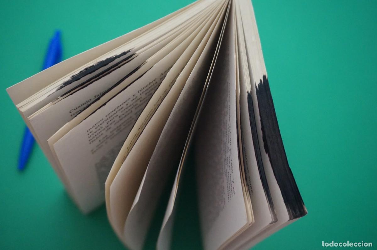 Libros: AMF-30B/ ENSAYOS - WENCESLAO MIRANDO / EDICIONES CELTA - Foto 4