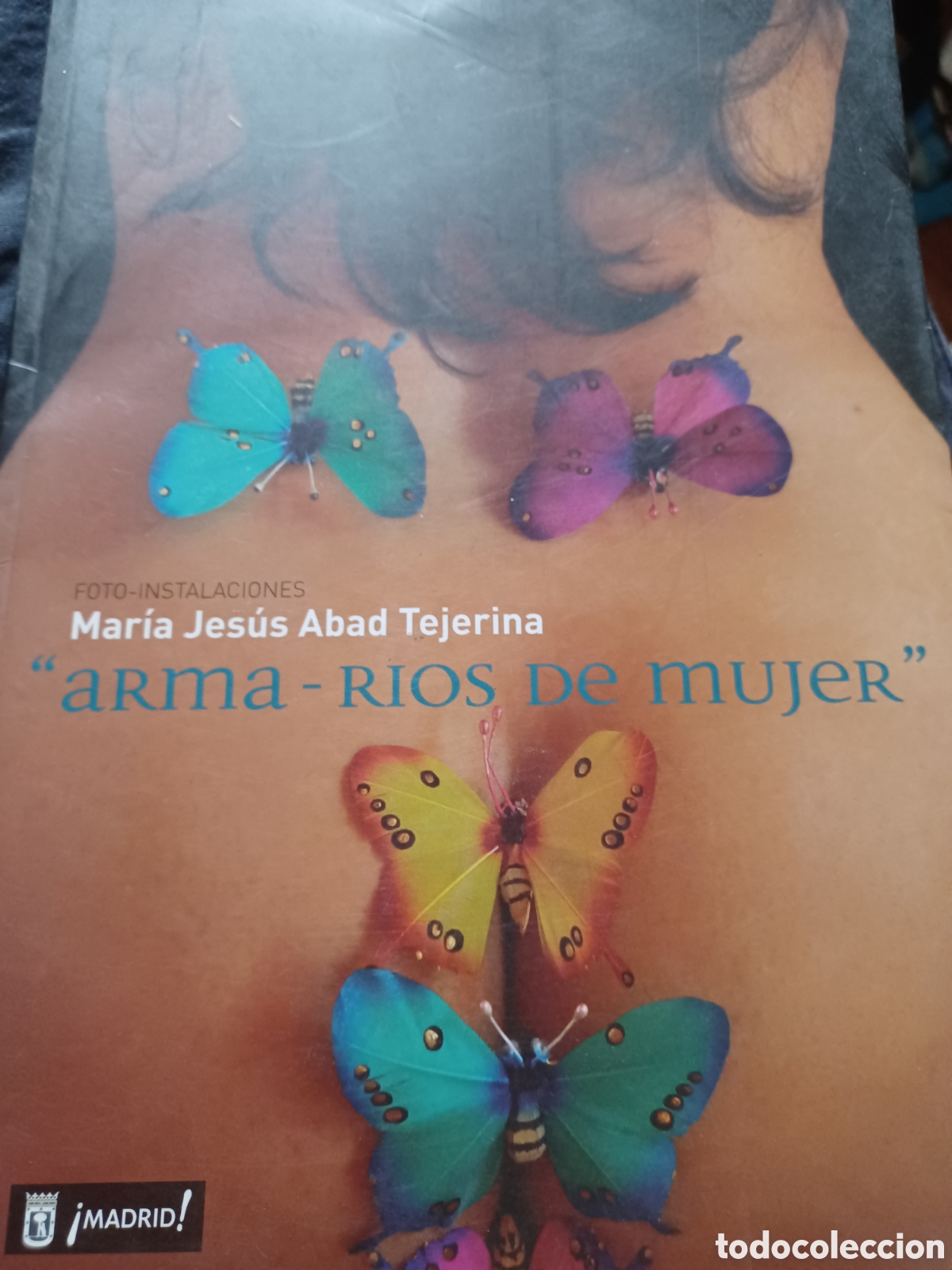 B&uuml;cher: Barybook 193 Arma- r&iacute;os de mujer Mar&iacute;a Jes&uacute;s Abad Tejerina
