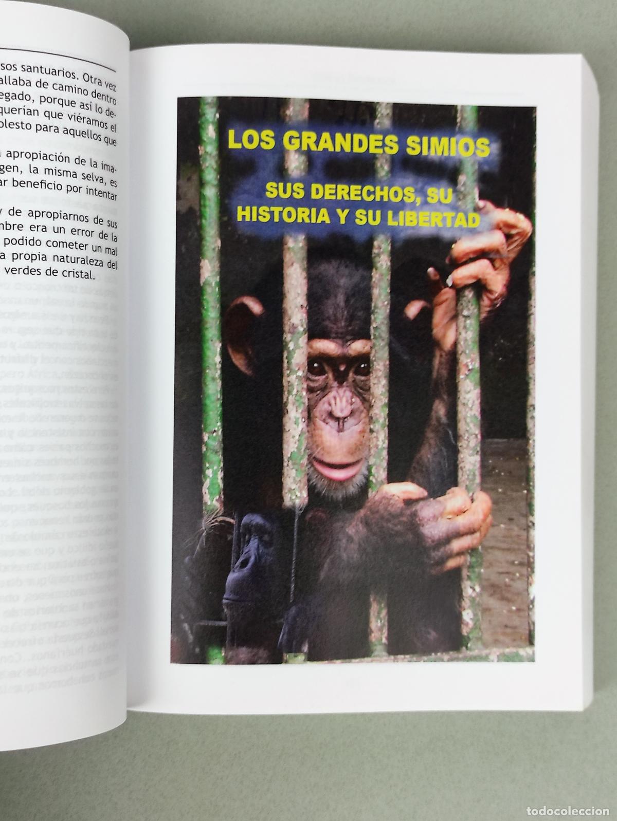 Libros: EFECTO ESMERALDA - PEDRO POZAS TERRADOS - Foto 3