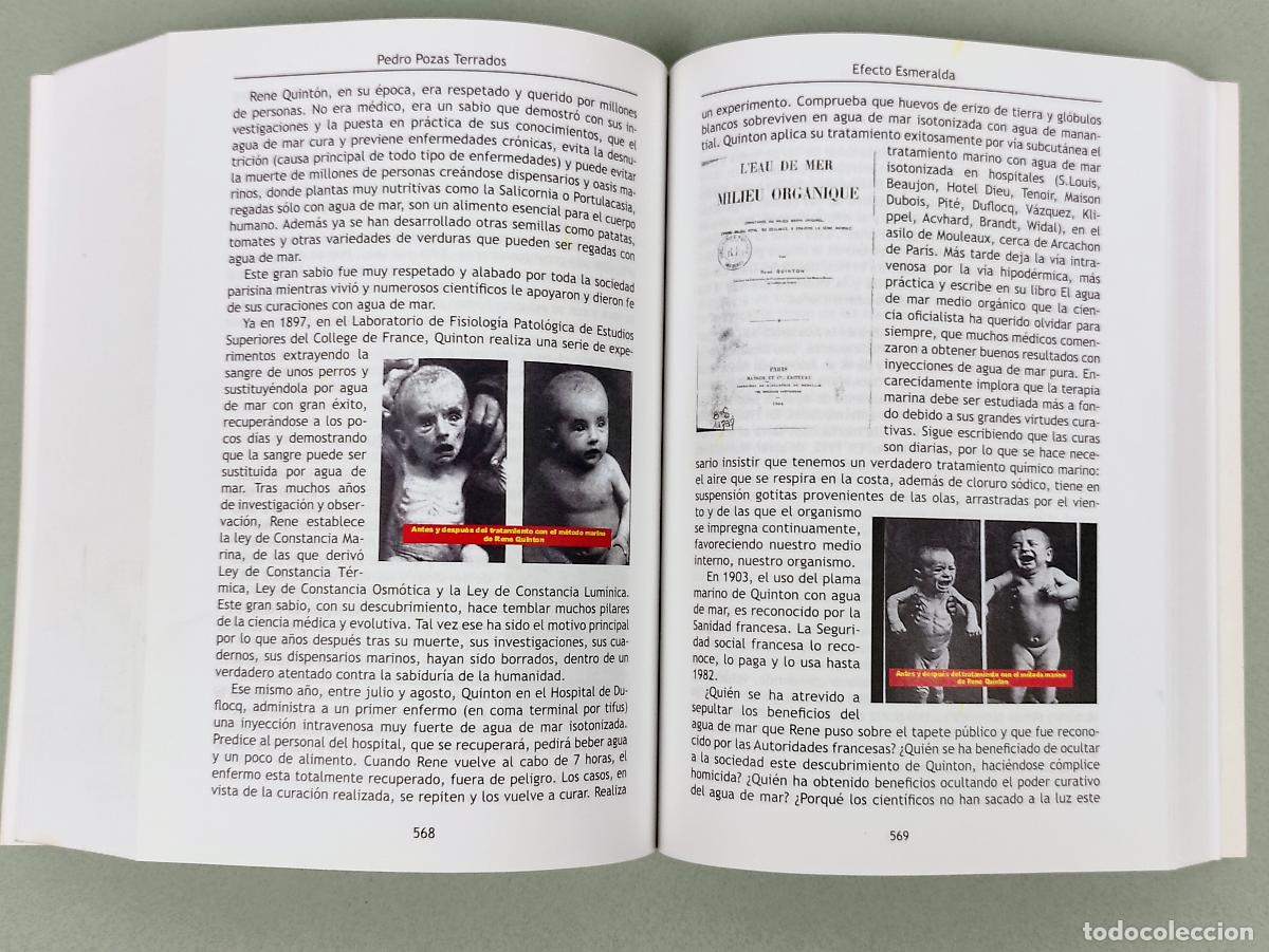 Libros: EFECTO ESMERALDA - PEDRO POZAS TERRADOS - Foto 4