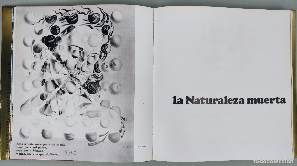 Libros: DALI - MAX GERARD - Foto 3