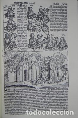 Libros: Liber Chronicarum. Facsimil. Ejemplar numerado - Foto 3