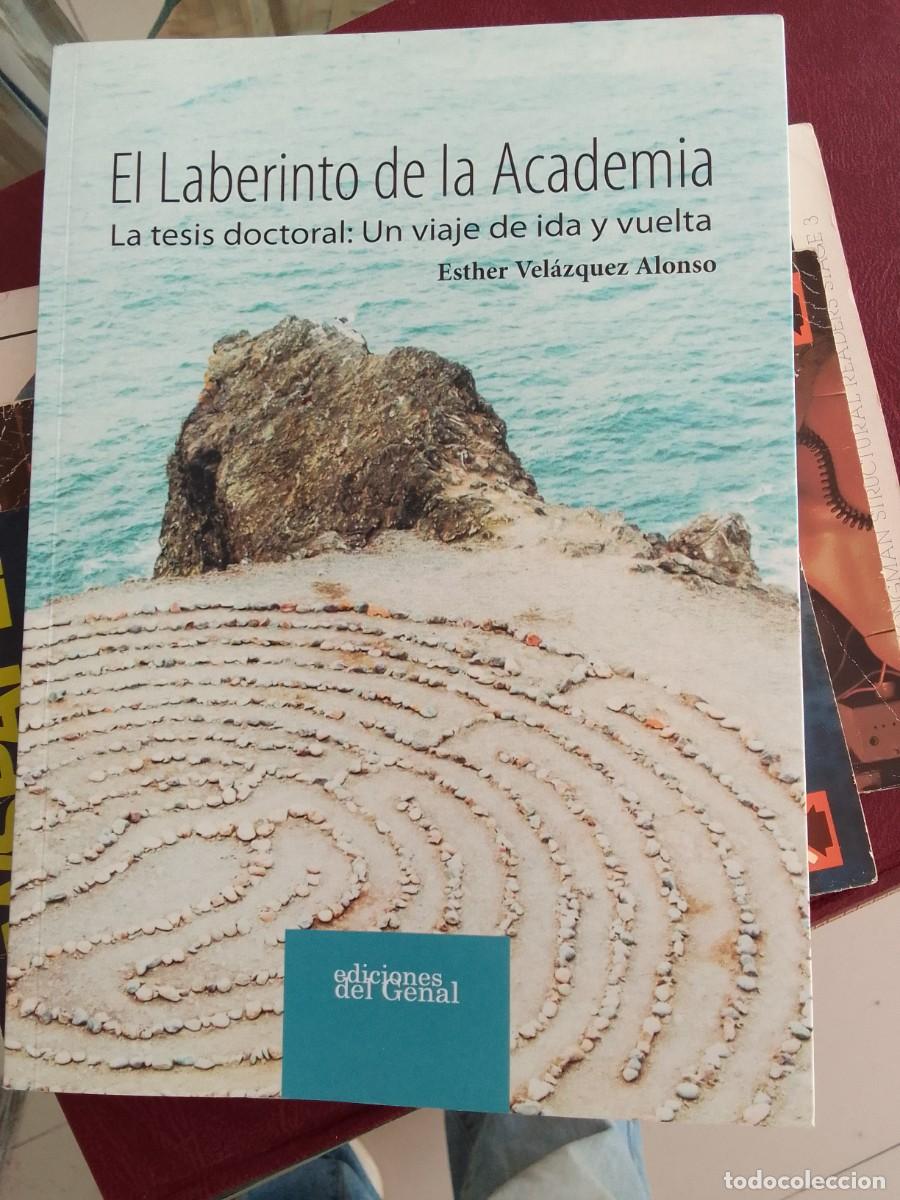 Libros: EL LABERINTO DE LA ACADEMIA - VEL&Aacute;ZQUEZ ALONSO, ESTHER