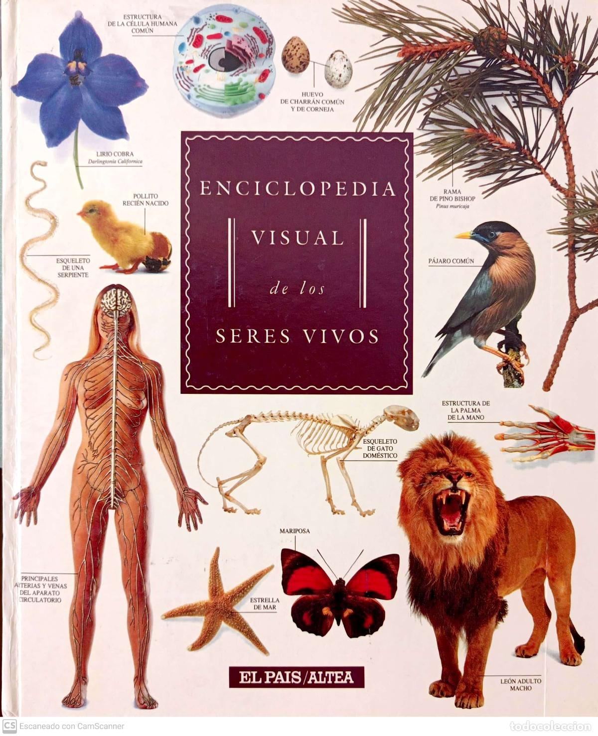 Libros: Enciclopedia visual de los seres vivos - Foto 1