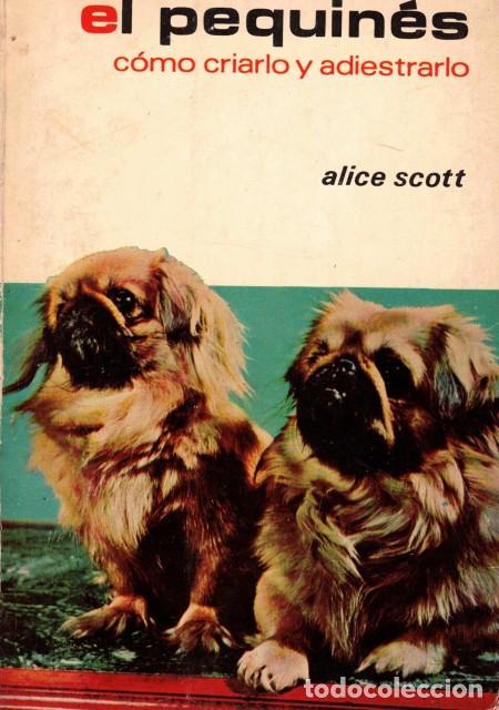 Libros: El pequin&eacute;s - Scott, Alice - Foto 1