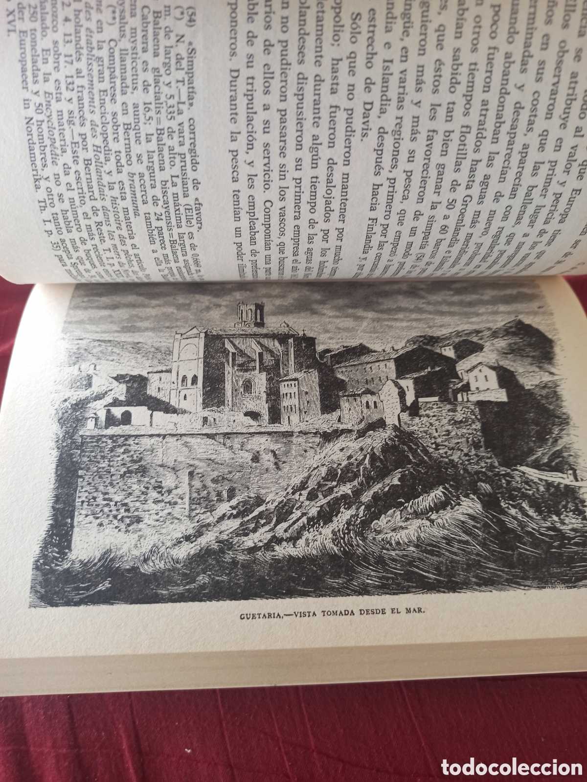 Libros: Los Vascos - Guillermo de Humboldt - Foto 4