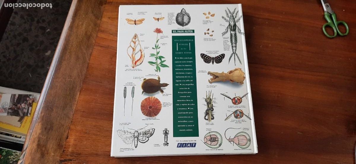 Libros: ENCICLOPEDIA VISUAL DE LOS SERES VIVOS. GRAN FORMATO. EL PAIS. ALTEA - Foto 2