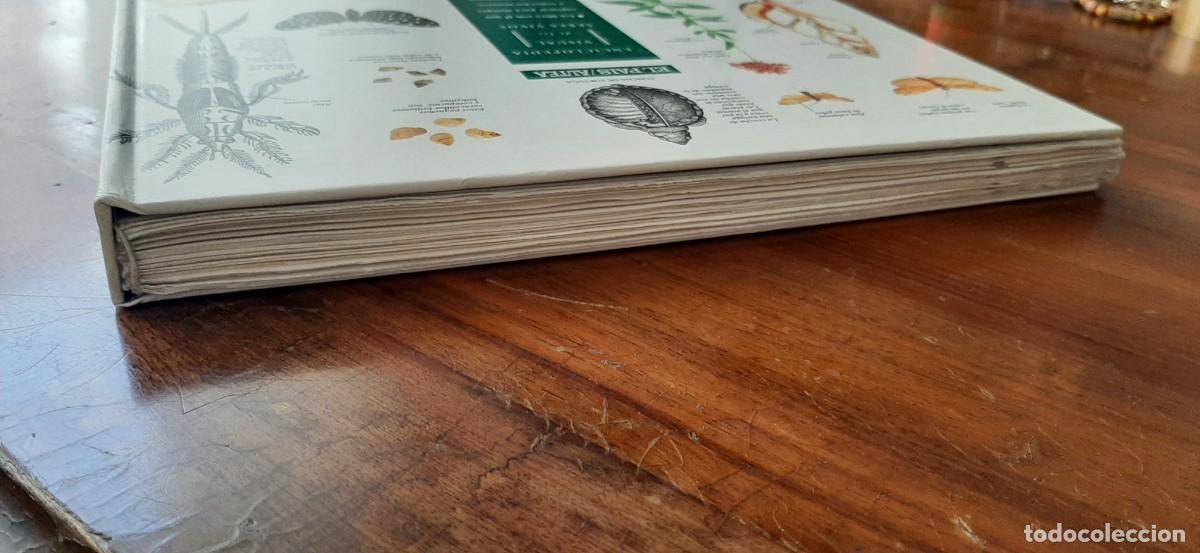 Libros: ENCICLOPEDIA VISUAL DE LOS SERES VIVOS. GRAN FORMATO. EL PAIS. ALTEA - Foto 7