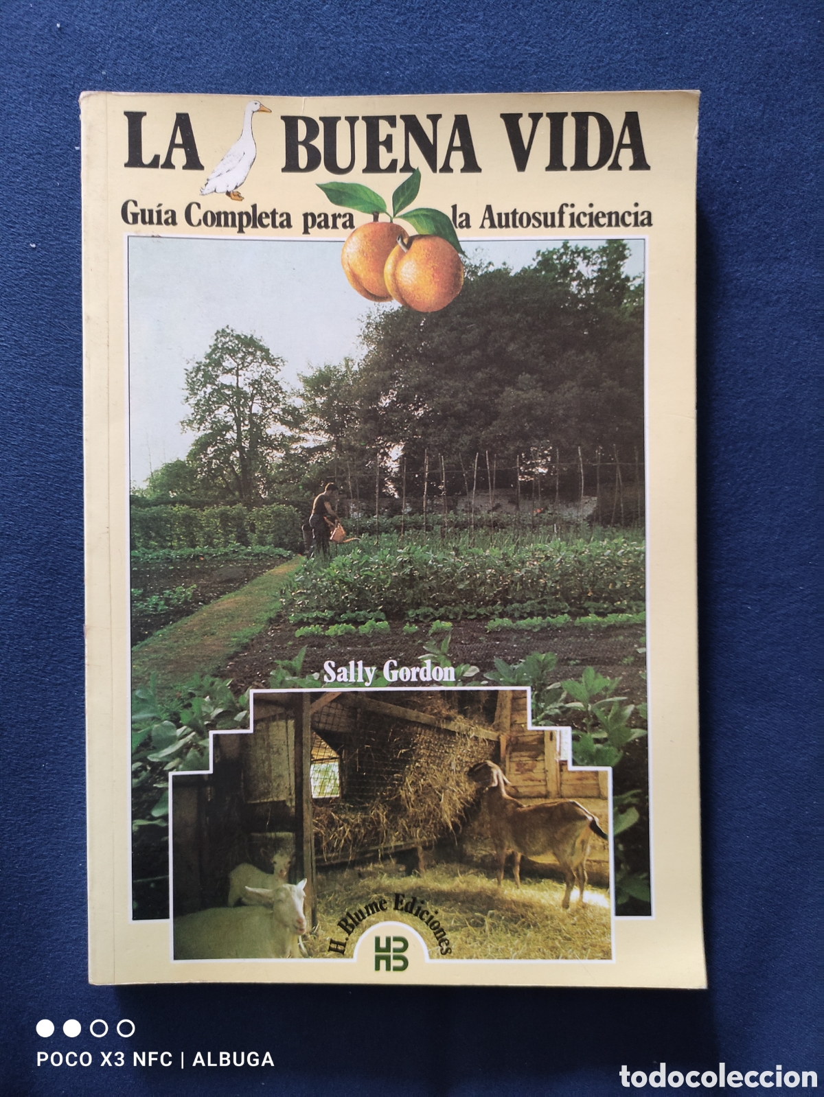 Libros: La buena vida. Sally Gordon - Foto 1