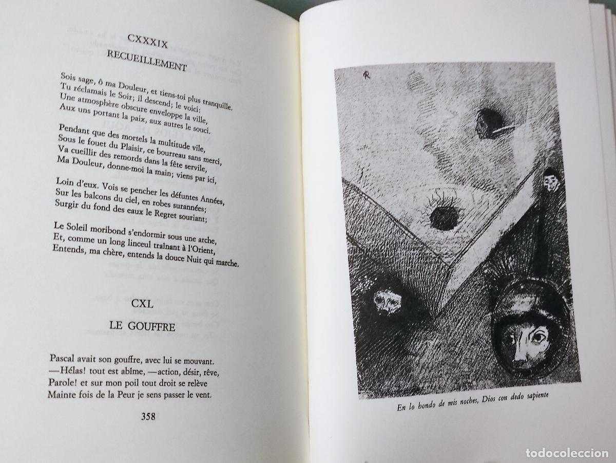 Libros: LAS FLORES DEL MAL - LES FLEURS DU MAL - BAUDELAIRE - Foto 8