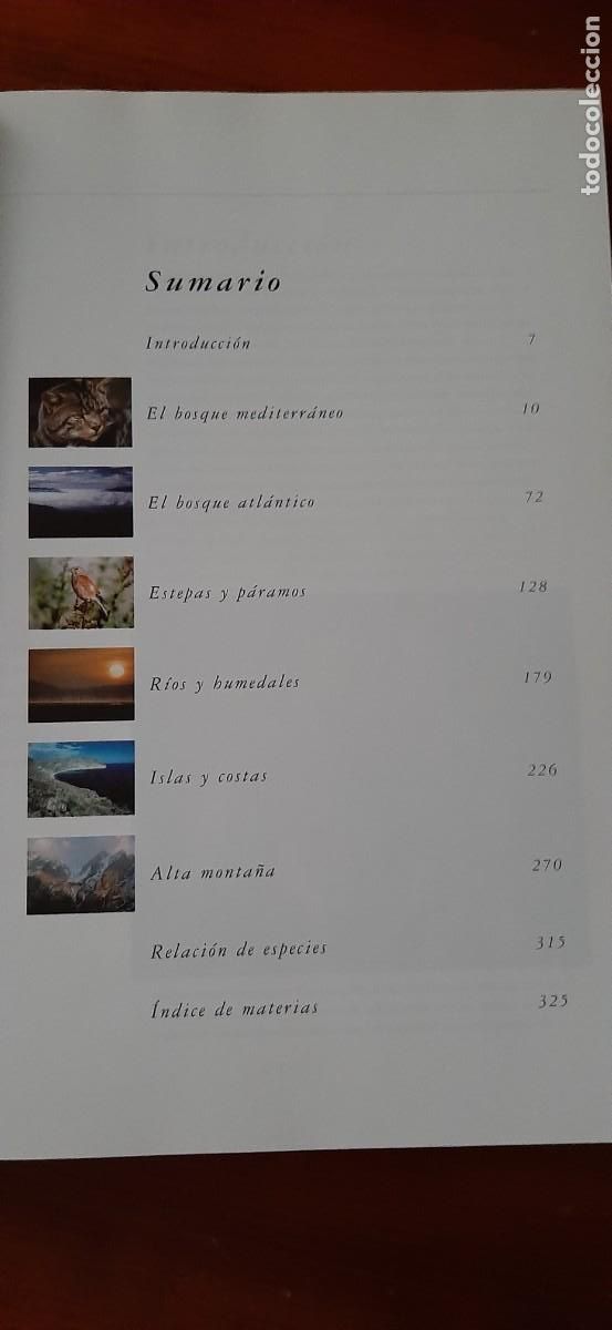 Libros: UN A&Ntilde;O EN LA VIDA DE LA ESPA&Ntilde;A SALVAJE. BORJA CARDELUS - Foto 7