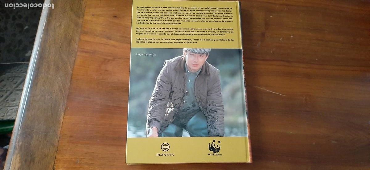 Libros: UN A&Ntilde;O EN LA VIDA DE LA ESPA&Ntilde;A SALVAJE. BORJA CARDELUS - Foto 2