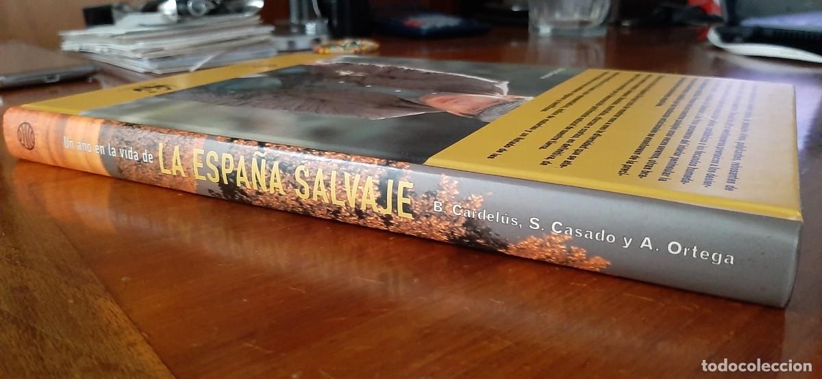 Libros: UN A&Ntilde;O EN LA VIDA DE LA ESPA&Ntilde;A SALVAJE. BORJA CARDELUS - Foto 3