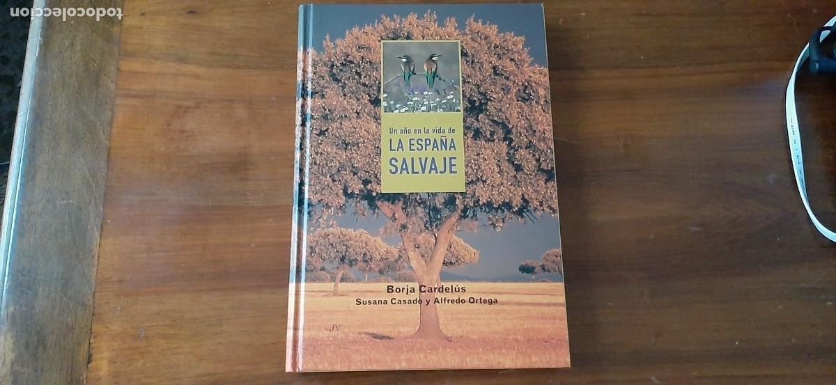 Libros: UN A&Ntilde;O EN LA VIDA DE LA ESPA&Ntilde;A SALVAJE. BORJA CARDELUS - Foto 1