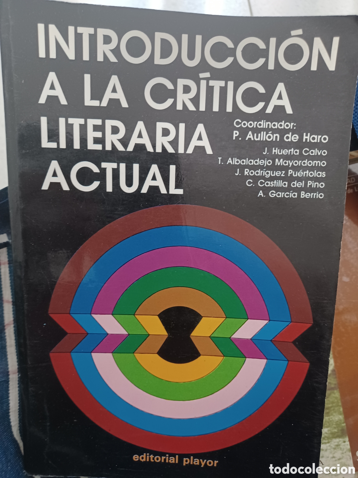 Libri di seconda mano: Barybook 200 Introducci&oacute;n a la cr&iacute;tica literaria actual Playor pedro auyon