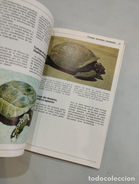 Libros: Jo Cobb - Las tortugas - Foto 2