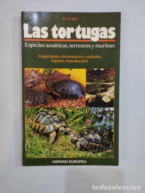 Libros: Jo Cobb - Las tortugas - Foto 1