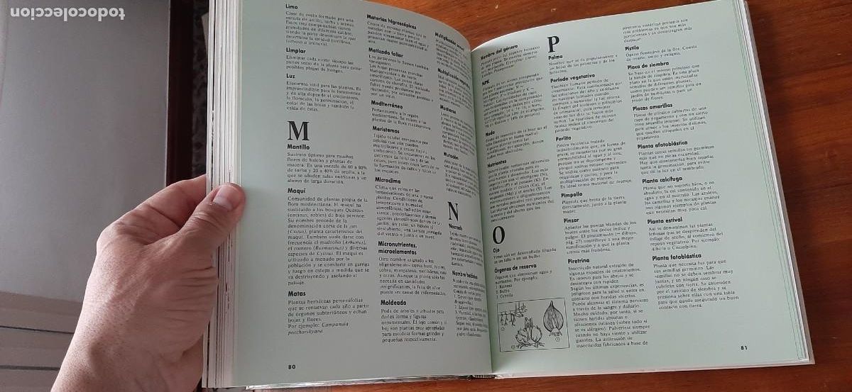 Libros: EL GRAN LIBRO DE PLANTAS DE TERRAZA Y BALCON. EVEREST. HALINA HEITZ - Foto 5