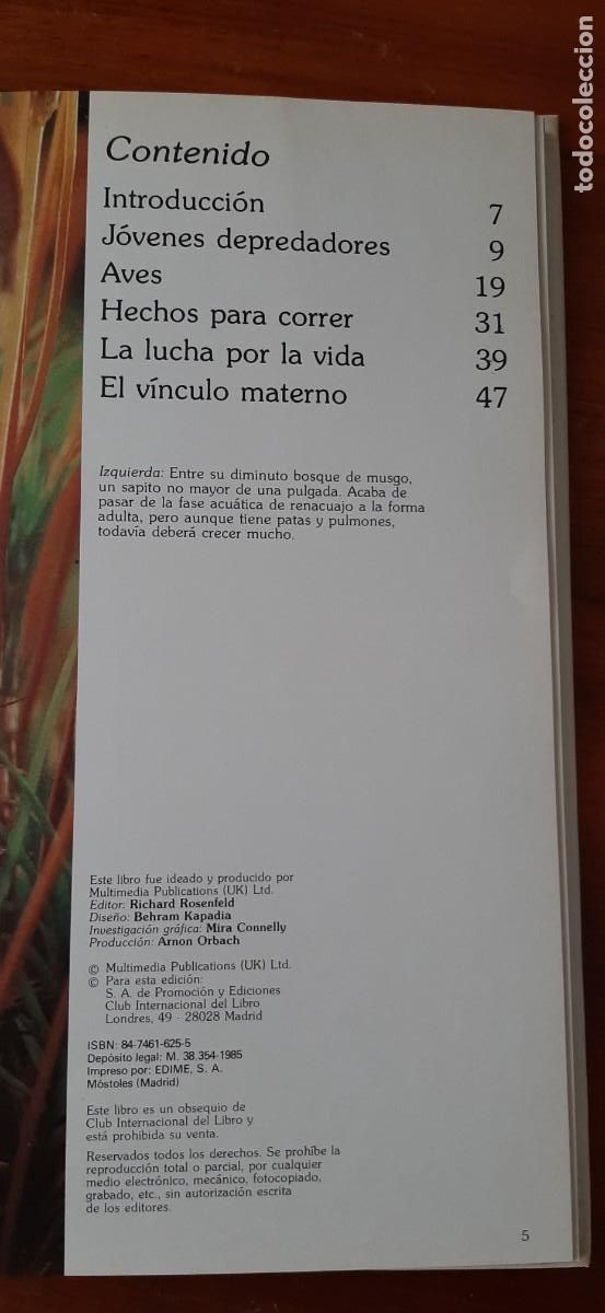 Libros: LAS CRIAS DE LOS ANIMALES. CLUB INTERNACIONAL DEL LIBRO - Foto 9