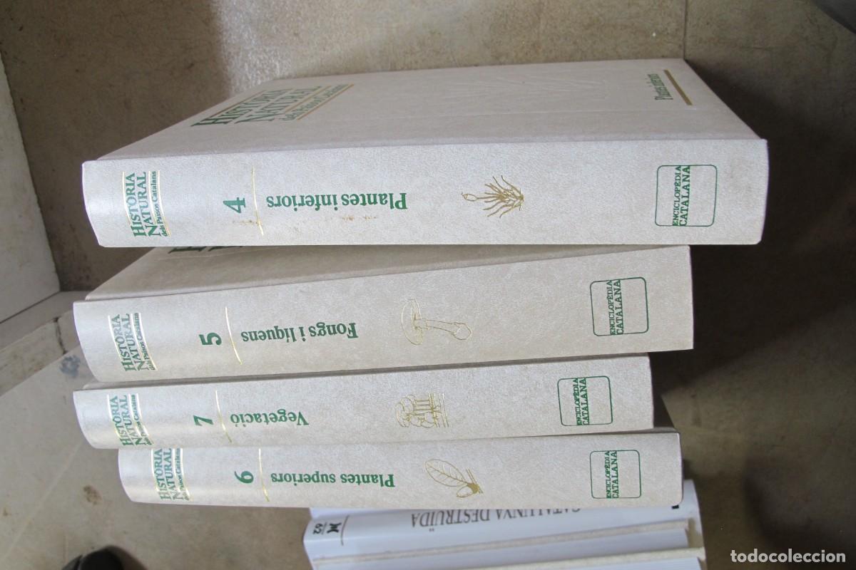 Libros: PLANTES SUPERIORS, INFERIORS, VEGETACIO, FONGS I LIQUENS. HISTORIA NATURAL DELS PAISOS CATALANS 4567