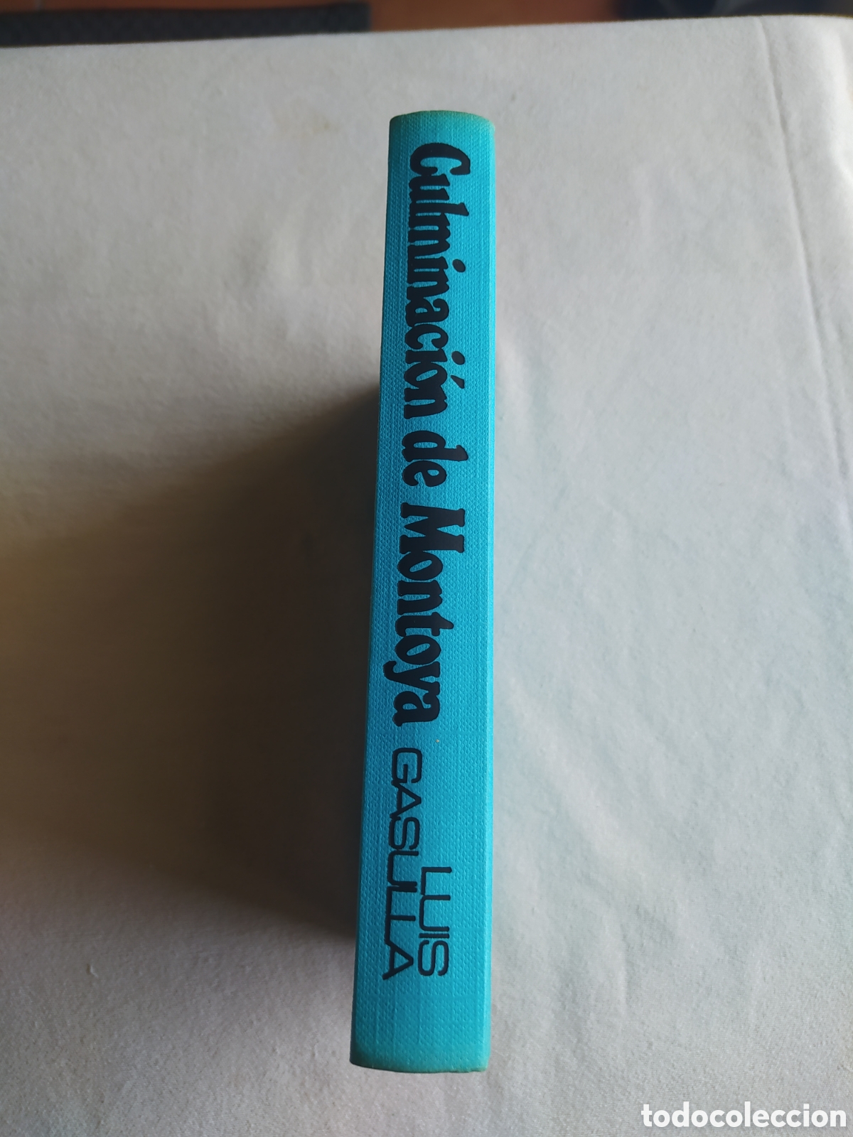 Libros: Culminaci&oacute;n de montoya - Luis gasulla - Foto 2