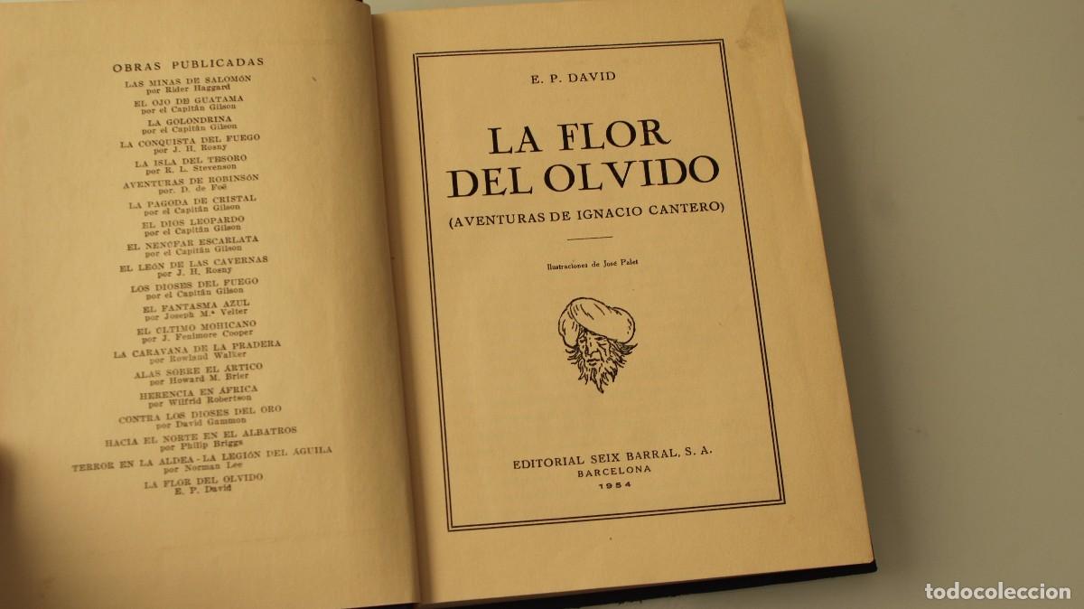 Libros: LA FLOR DEL OLVIDO E. P. DAVID - Foto 2