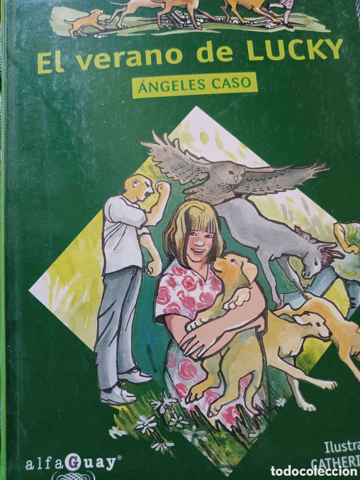 Livres: Barybook 204 El verano de lucky &Aacute;ngeles Caso alfaguay